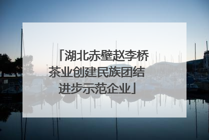湖北赤壁赵李桥茶业创建民族团结进步示范企业