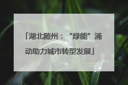 湖北随州：“绿能”涌动助力城市转型发展