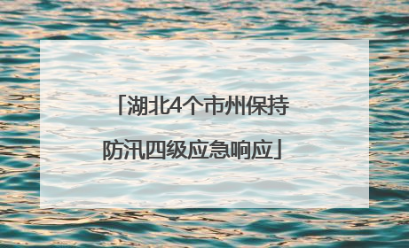 湖北4个市州保持防汛四级应急响应
