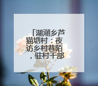 湖潮乡芦猫塘村：夜访乡村巷陌，驻村干部情暖民心