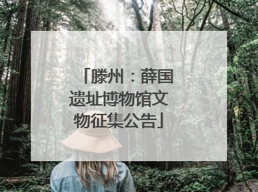 滕州：薛国遗址博物馆文物征集公告