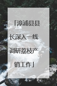 漳浦县县长深入一线调研荔枝产销工作