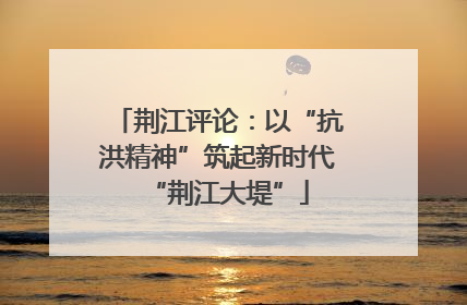 荆江评论：以“抗洪精神”筑起新时代“荆江大堤”