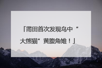 莆田首次发现鸟中“大熊猫”黄腹角雉！