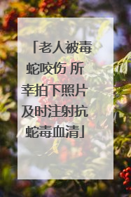 老人被毒蛇咬伤 所幸拍下照片及时注射抗蛇毒血清