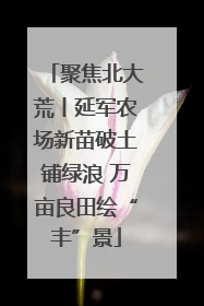 聚焦北大荒丨延军农场新苗破土铺绿浪 万亩良田绘“丰”景
