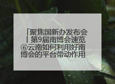 聚焦国新办发布会丨第9届南博会速览⑥云南如何利用好南博会的平台带动作用，深化与南亚国家的交流与合作？