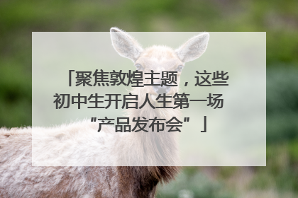 聚焦敦煌主题，这些初中生开启人生第一场“产品发布会”