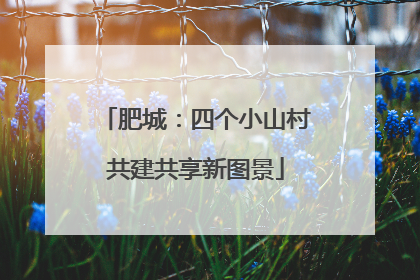 肥城：四个小山村共建共享新图景
