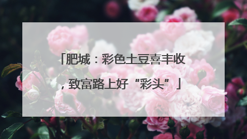 肥城：彩色土豆喜丰收，致富路上好“彩头”