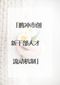 腾冲市创新干部人才流动机制