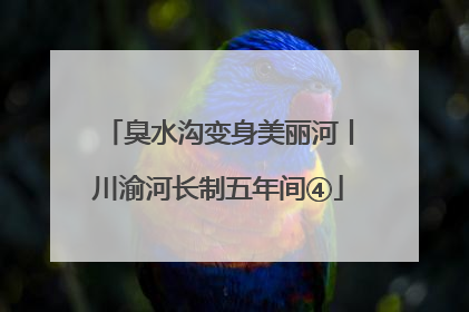 臭水沟变身美丽河丨川渝河长制五年间④