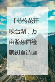 芍药花开映台湖，万亩游憩园绘就初夏诗画