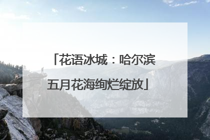 花语冰城：哈尔滨五月花海绚烂绽放