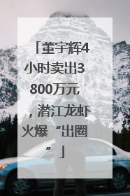 董宇辉4小时卖出3800万元，潜江龙虾火爆“出圈”