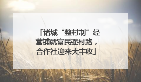 诸城“整村制”经营铺就富民强村路，合作社迎来大丰收
