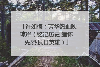 许如梅：芳华热血映琼崖（铭记历史 缅怀先烈·抗日英雄）