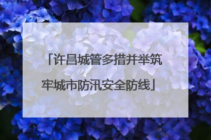 许昌城管多措并举筑牢城市防汛安全防线