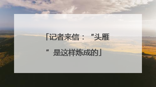 记者来信：“头雁”是这样炼成的