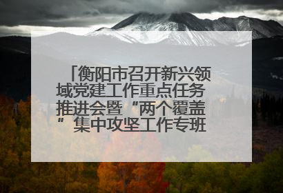 衡阳市召开新兴领域党建工作重点任务推进会暨“两个覆盖”集中攻坚工作专班 第一次会议