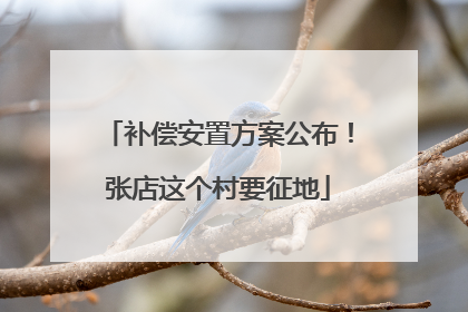 补偿安置方案公布！张店这个村要征地