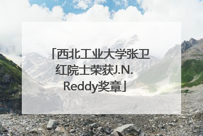 西北工业大学张卫红院士荣获J.N.Reddy奖章