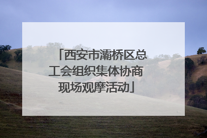 西安市灞桥区总工会组织集体协商现场观摩活动