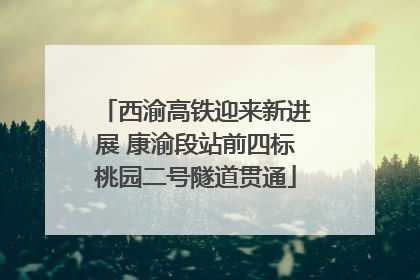 西渝高铁迎来新进展 康渝段站前四标桃园二号隧道贯通