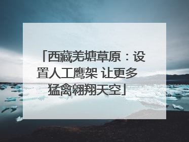 西藏羌塘草原：设置人工鹰架 让更多猛禽翱翔天空