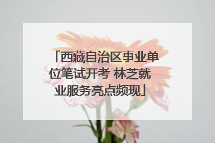 西藏自治区事业单位笔试开考 林芝就业服务亮点频现