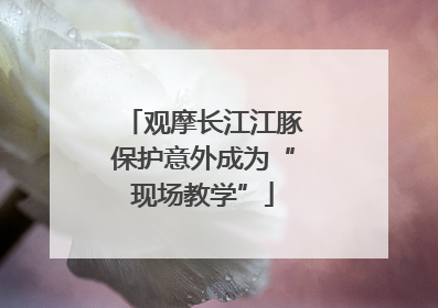 观摩长江江豚保护意外成为“现场教学”