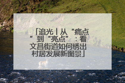 追光丨从“痛点”到“亮点”：看文昌街道如何绣出村居发展新图景