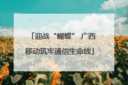 迎战“蝴蝶” 广西移动筑牢通信生命线