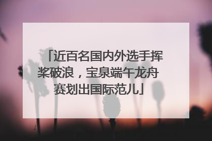 近百名国内外选手挥桨破浪，宝泉端午龙舟赛划出国际范儿