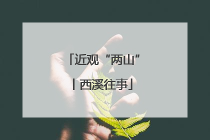 近观“两山”丨西溪往事