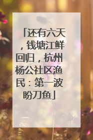 还有六天，钱塘江鲜回归，杭州杨公社区渔民：第一波盼刀鱼