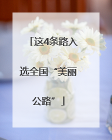 这4条路入选全国“美丽公路”