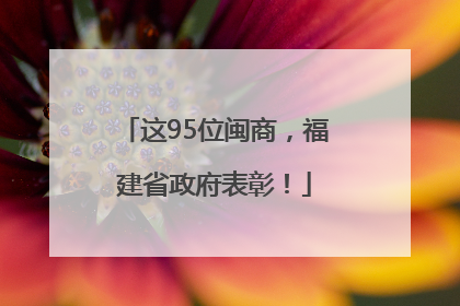 这95位闽商，福建省政府表彰！