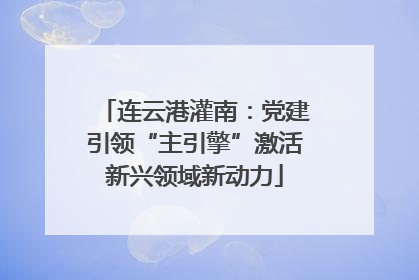 连云港灌南：党建引领“主引擎”激活新兴领域新动力