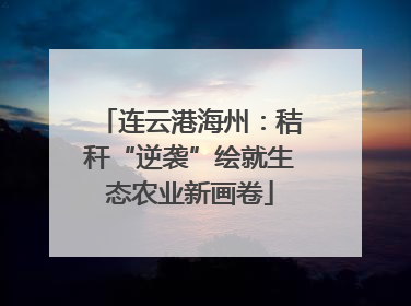 连云港海州：秸秆“逆袭”绘就生态农业新画卷