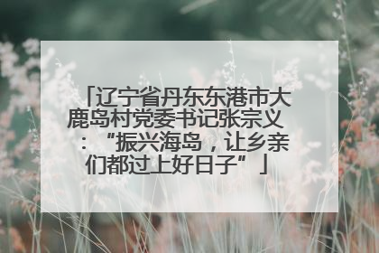 辽宁省丹东东港市大鹿岛村党委书记张宗义：“振兴海岛，让乡亲们都过上好日子”