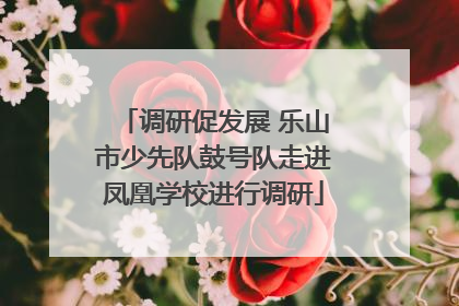 调研促发展 乐山市少先队鼓号队走进凤凰学校进行调研