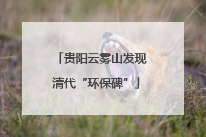 贵阳云雾山发现清代“环保碑”