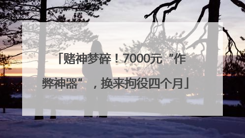 赌神梦碎！7000元“作弊神器”，换来拘役四个月