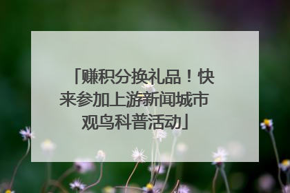 赚积分换礼品！快来参加上游新闻城市观鸟科普活动