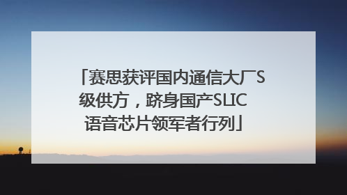 赛思获评国内通信大厂S级供方，跻身国产SLIC语音芯片领军者行列