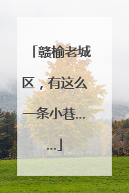 赣榆老城区，有这么一条小巷……