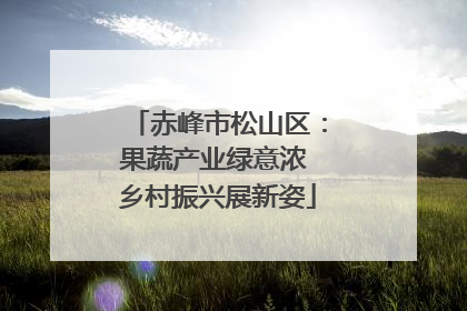 赤峰市松山区：果蔬产业绿意浓 乡村振兴展新姿