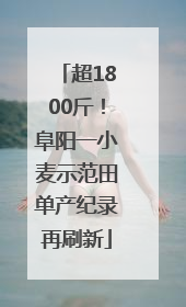 超1800斤！阜阳一小麦示范田单产纪录再刷新