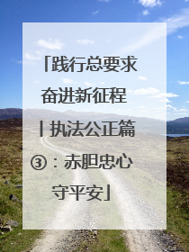 践行总要求 奋进新征程丨执法公正篇③：赤胆忠心守平安